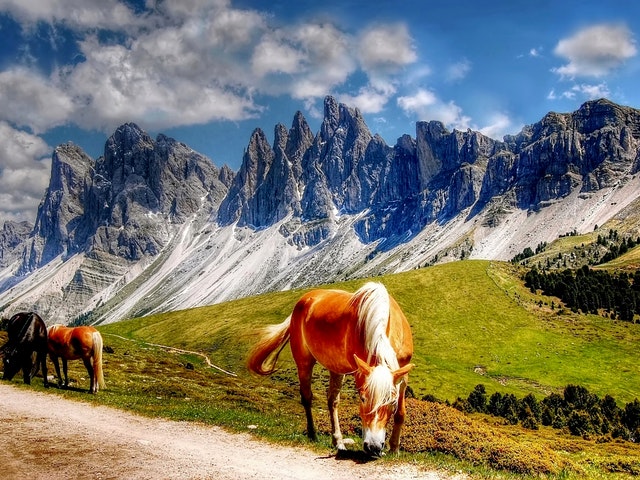 En häst bland berg